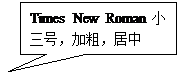 矩形标注: Times New Roman小三号，加粗，居中